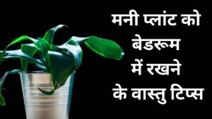 Keeping Money Plant in Bedroom: क्या बेडरूम में मनी प्लांट रखना सही है? जानें वास्तु शास्त्र के आसान नियम